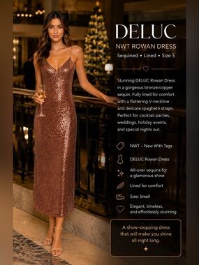 DELUC NWT Rowan Dress Sequined Lined size S.